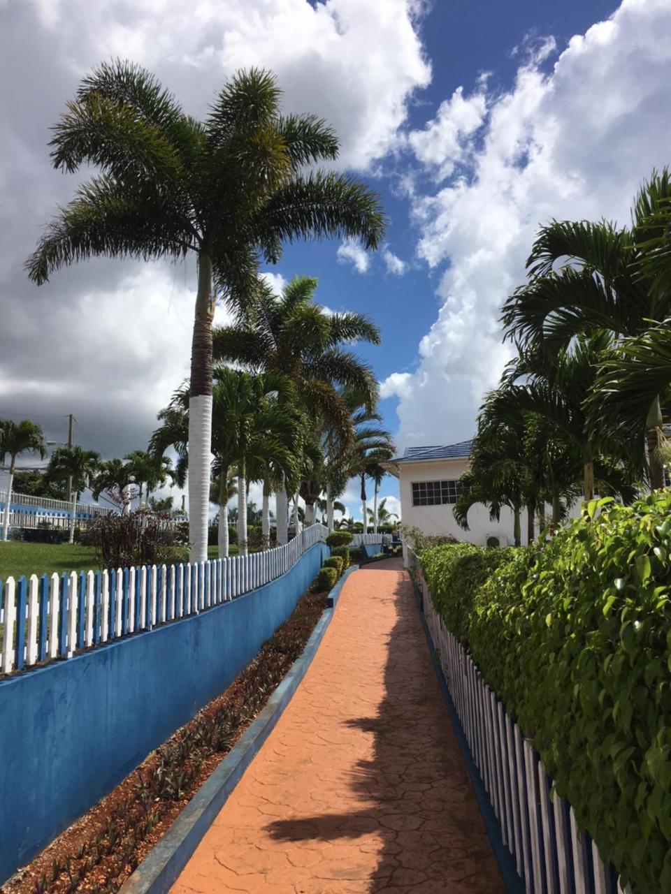 Отель Tropics View Jamaica Hatfield Экстерьер фото