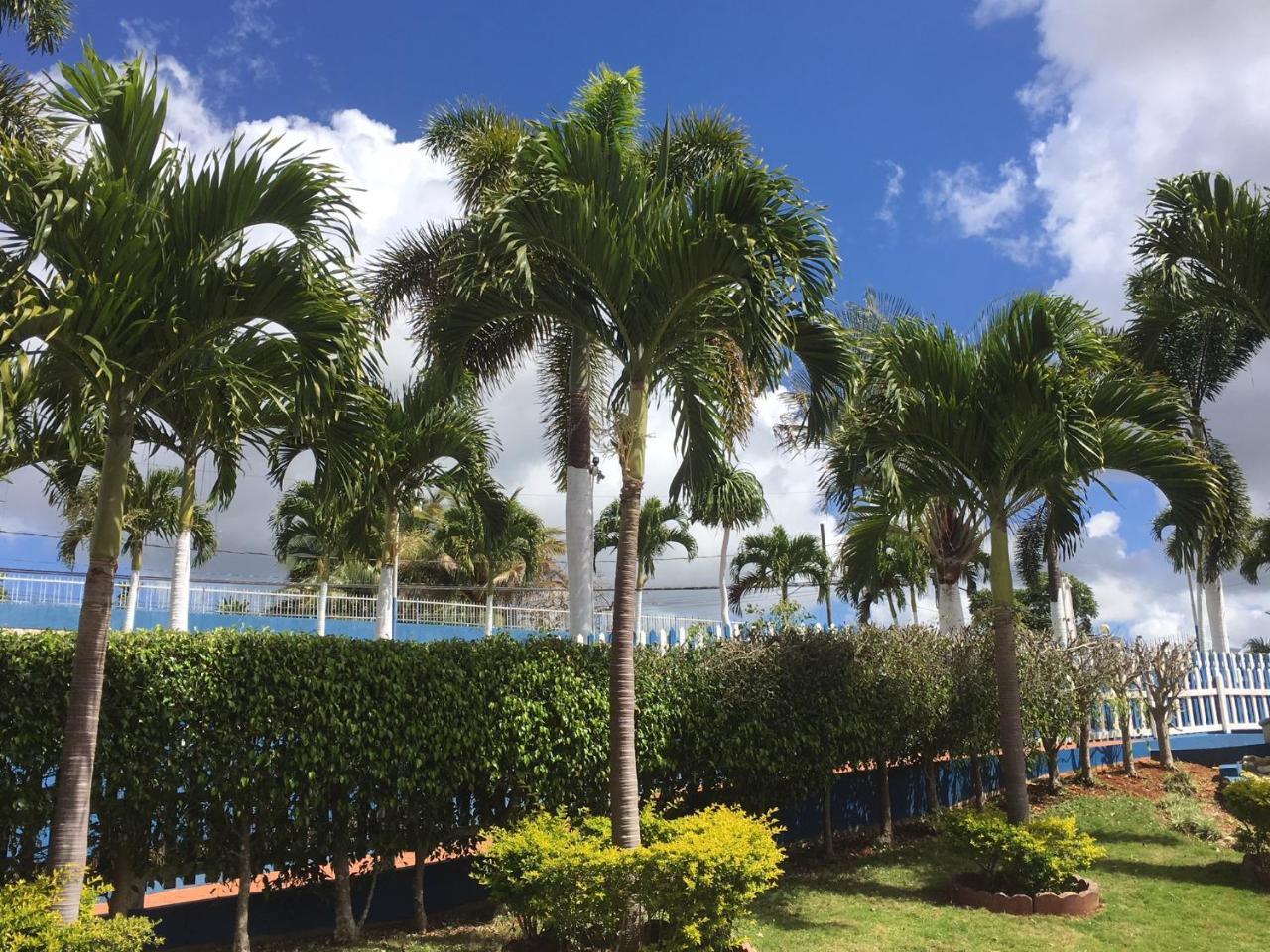 Отель Tropics View Jamaica Hatfield Экстерьер фото
